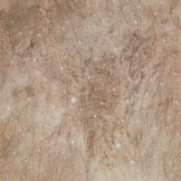 藤岡 雅人
「寒雲雪霞図」